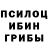 Галлюциногенные грибы прущие грибы Feofan Dgekichan