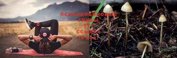 синтетический гашиш Каменногорск
