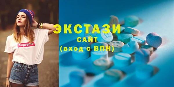соль ск Каменка