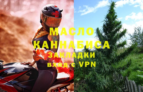соль ск Каменка