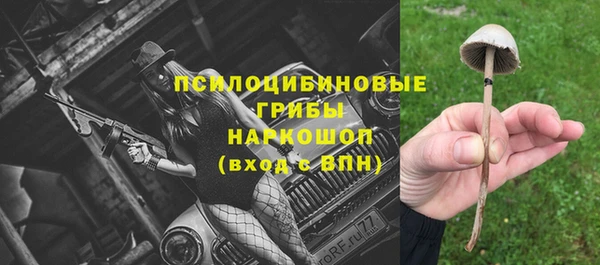 синтетический гашиш Каменногорск