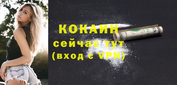 соль ск Каменка