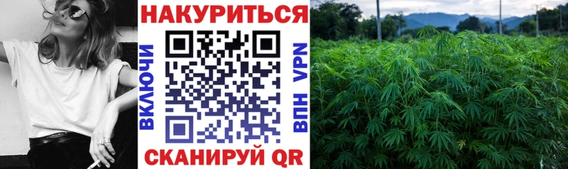 Купить где  Богданович  Бошки Шишки тримм 